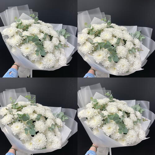 review-photo-before