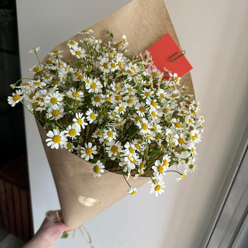 review-photo-before