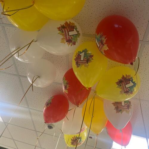 review-photo-before