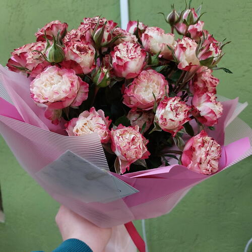 review-photo-before