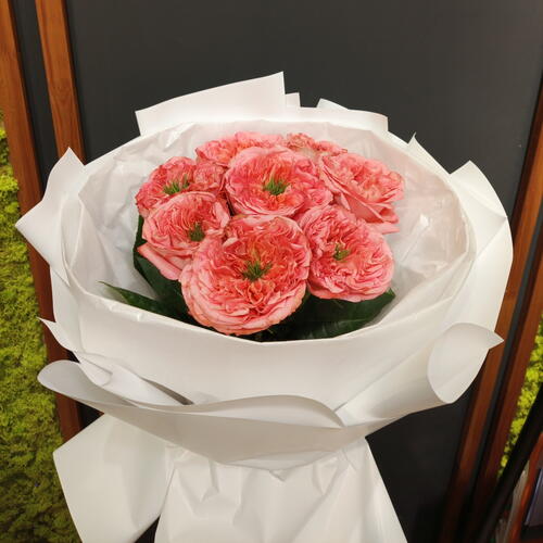 review-photo-before
