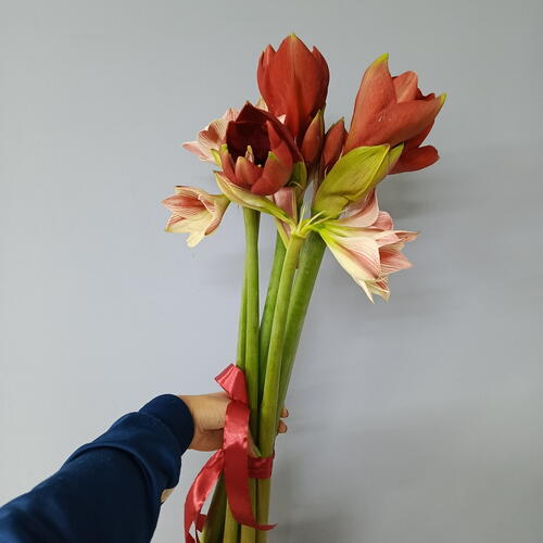 review-photo-before