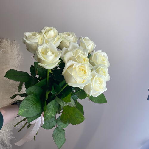review-photo-before