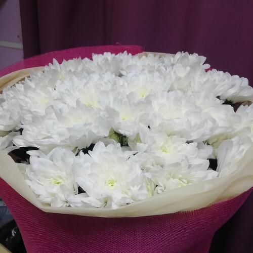 review-photo-before
