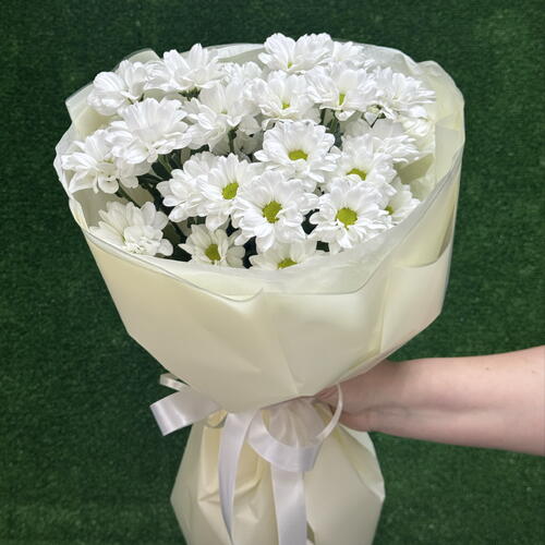 review-photo-before
