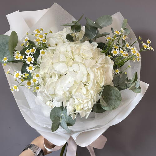 review-photo-before
