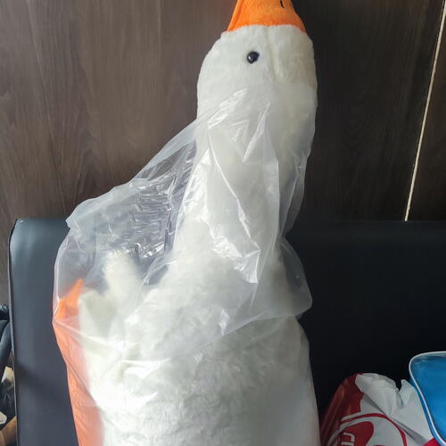review-photo-before