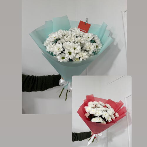 review-photo-before