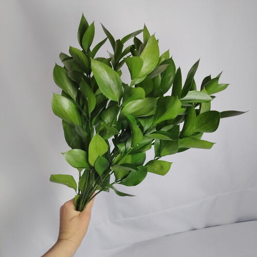review-photo-before
