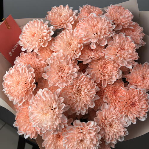 review-photo-before