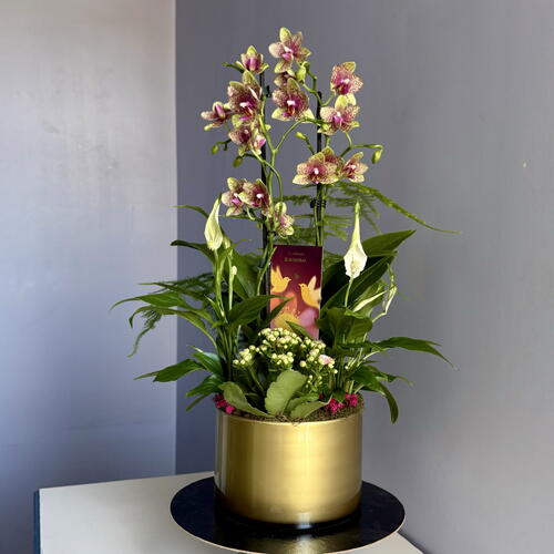 review-photo-before