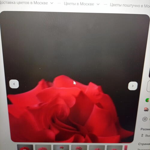 review-photo-before