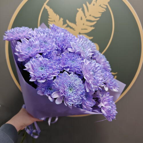 review-photo-before