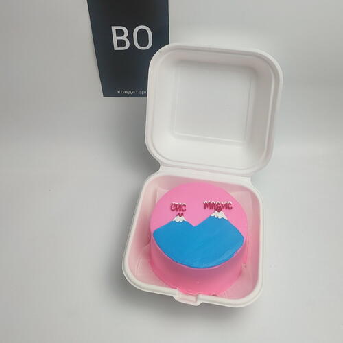 review-photo-before