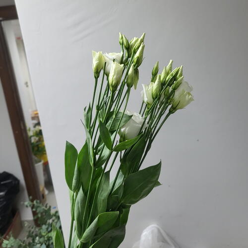 review-photo-before