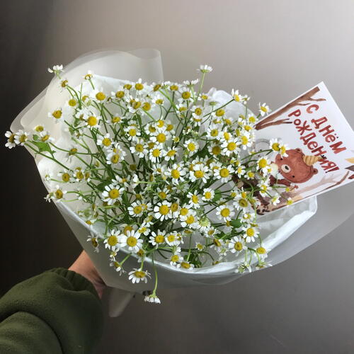 review-photo-before