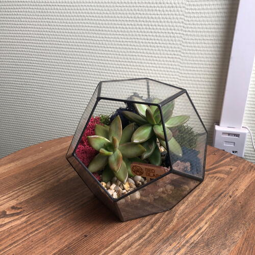 review-photo-before