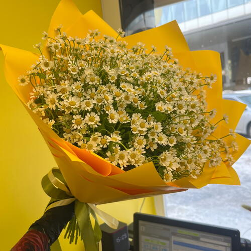 review-photo-before