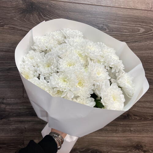review-photo-before