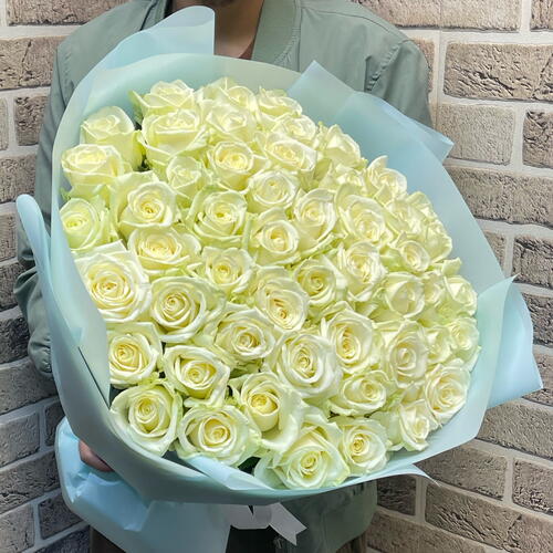 review-photo-before