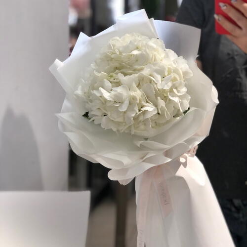 review-photo-before