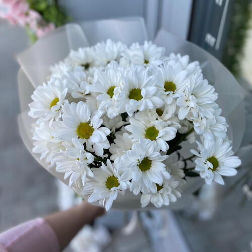 review-photo-before