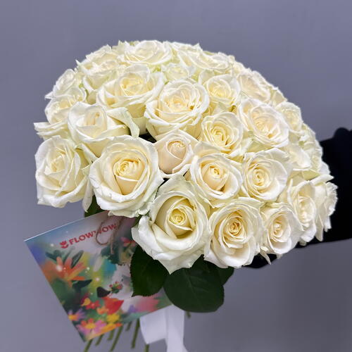 review-photo-before