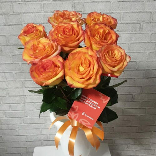 review-photo-before