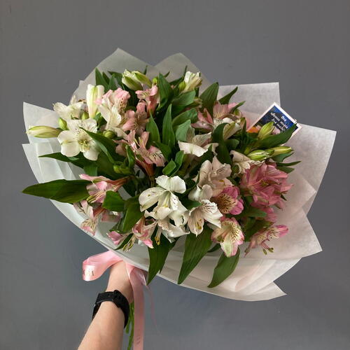 review-photo-before