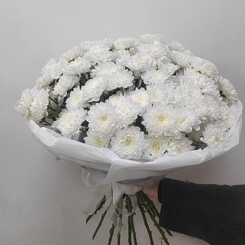 review-photo-before
