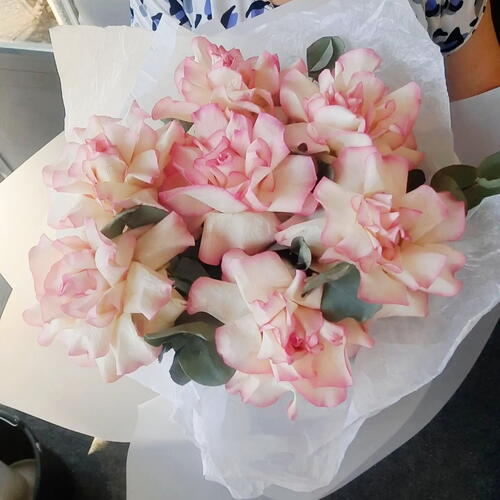 review-photo-before