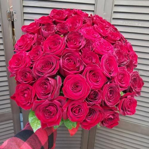 review-photo-before