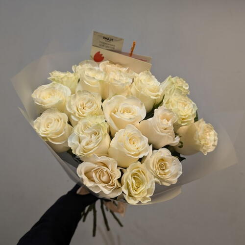 review-photo-before