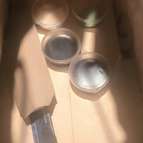 review-photo-before