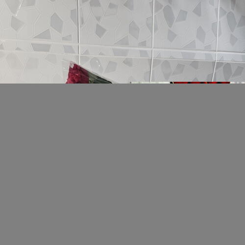review-photo-before