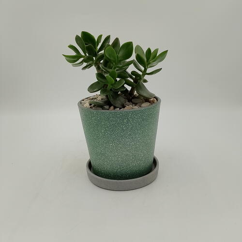 review-photo-before