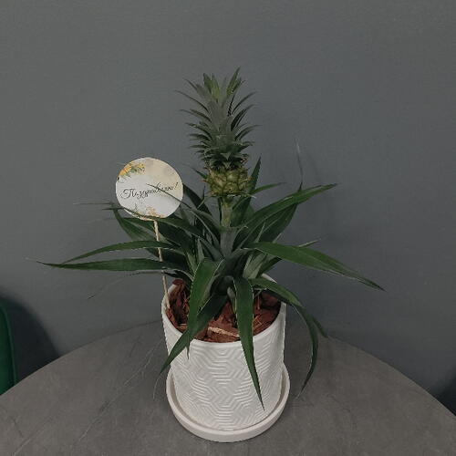 review-photo-before