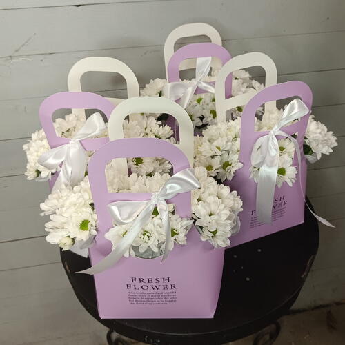 review-photo-before