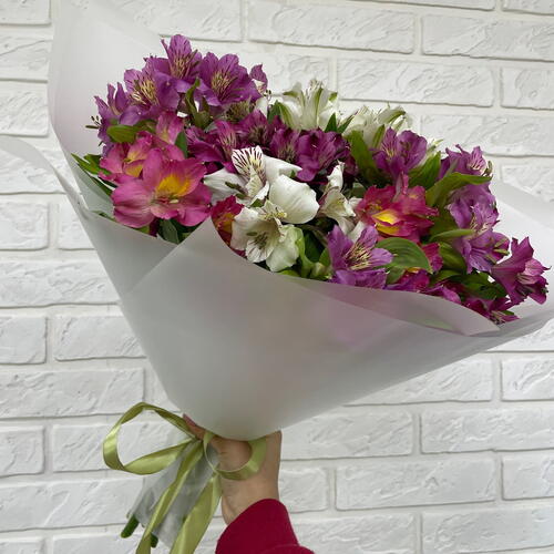 review-photo-before