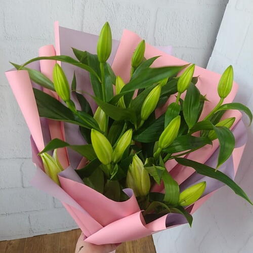 review-photo-before