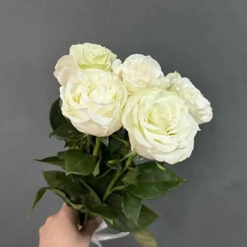 review-photo-before