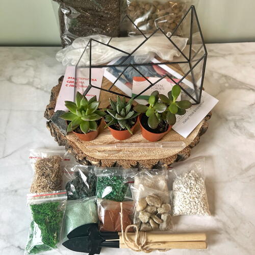 review-photo-before