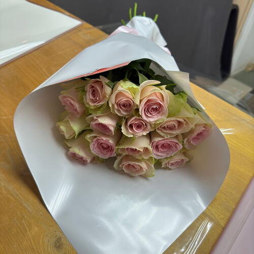 review-photo-before