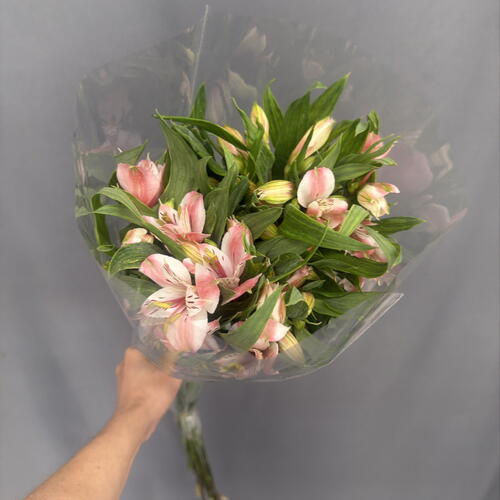 review-photo-before