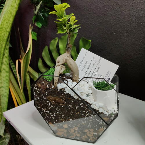 review-photo-before