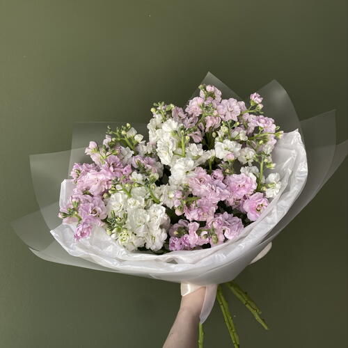 review-photo-before