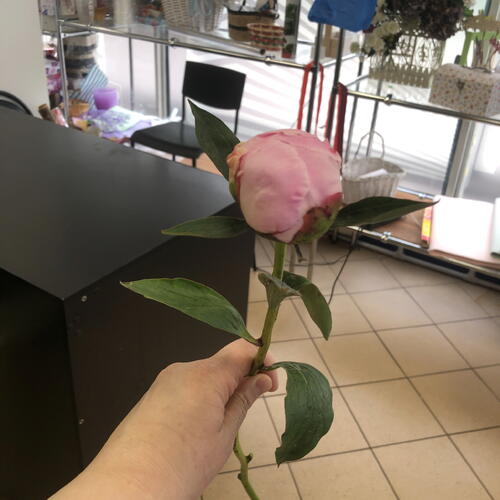 review-photo-before