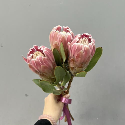 review-photo-before