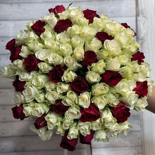 review-photo-before