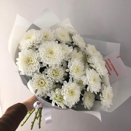 review-photo-before